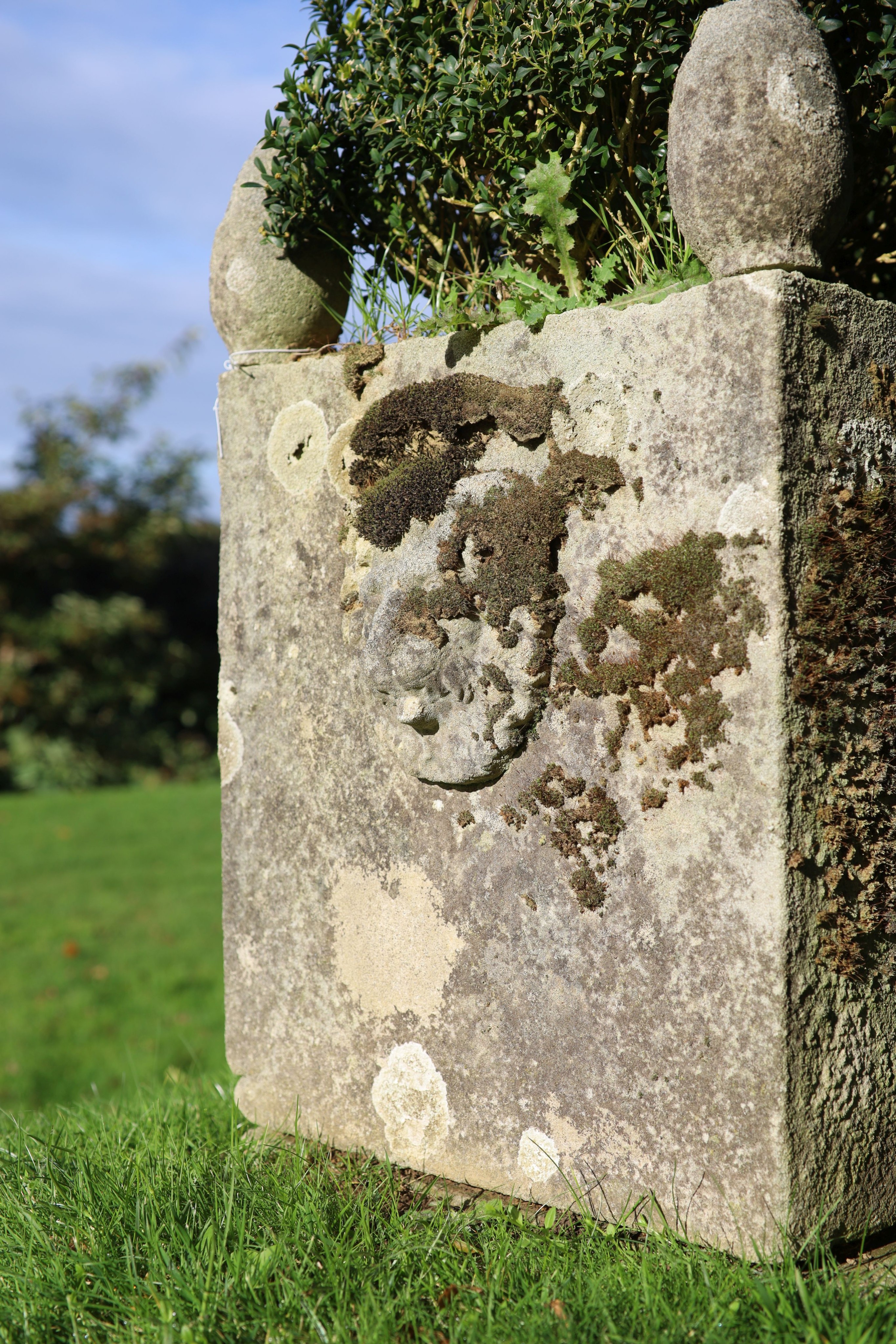 A pair of reconstituted stone garden planters, with lions mask decoration, height 74cm width 48cm
